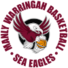 曼利沃海鹰logo
