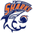 上海鲨鱼U19logo