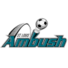 圣路易斯伏击logo