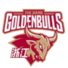 浙江金牛U19logo
